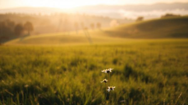 10 avantages de l'énergie verte pour diminuer votre empreinte carbone